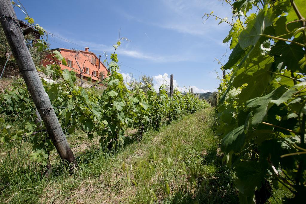 Agriturismo La Burlanda Фоздиново Экстерьер фото